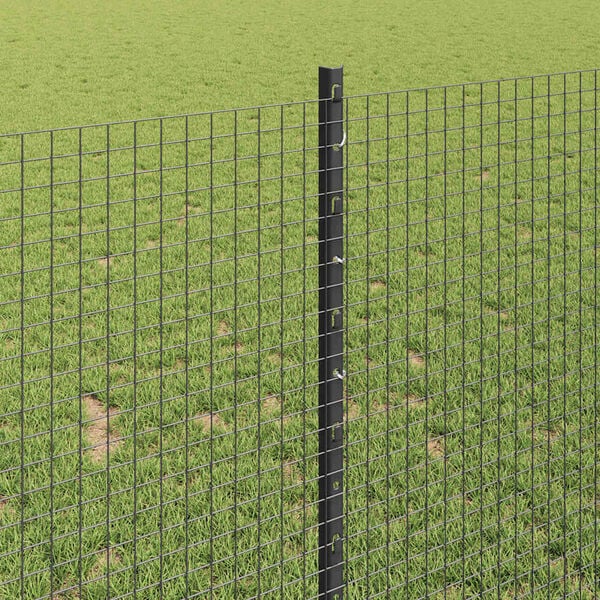 Visualizzazione immagine prodotto 4 di 14