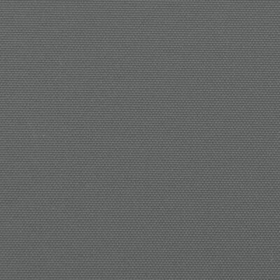 vidaXL Tenda da Sole Laterale Retrattile Antracite 140x600 cm