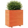 vidaXL Fioriera Giardino Marrone Cera 70x40x72,5cm Legno Massello Pino