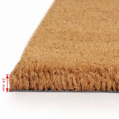 vidaXL Set Zerbini in Fibra di Cocco 2 pz 24 mm 40x60 cm Naturale