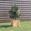 vidaXL Fioriere da Giardino 2 pz 31x31x31 cm in Legno Massello di Pino