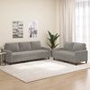 vidaXL Set di Divani 2 pz con Cuscini Grigio Chiaro in Velluto