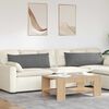vidaXL Cuscini da Divano 2 pcs Grigio scuro 120 x 40 cm Tessuto
