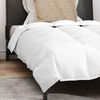 vidaXL Duvet Invernale con cuscino 2 pcs Bianco Piuma d'anatra