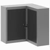 vidaXL Mobile per attrezzi con blocco Nero e Grigio 55 x 55 x 55 cm