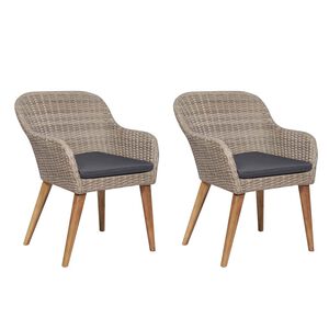 vidaXL Sedie da Esterno con Cuscini 2 pz in Polyrattan Marrone