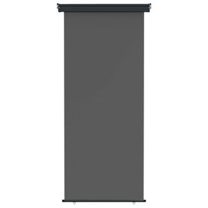vidaXL Tenda laterale per balcone 60 x 250 cm