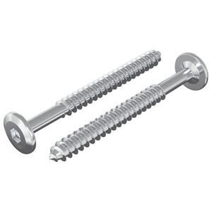vidaXL Viti in Legno 2 pz Argento M6 x 70 mm Acciaio