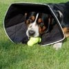 All Four Paws Collare Elettronico per Cani Comfy Cone XL 30 cm Nero