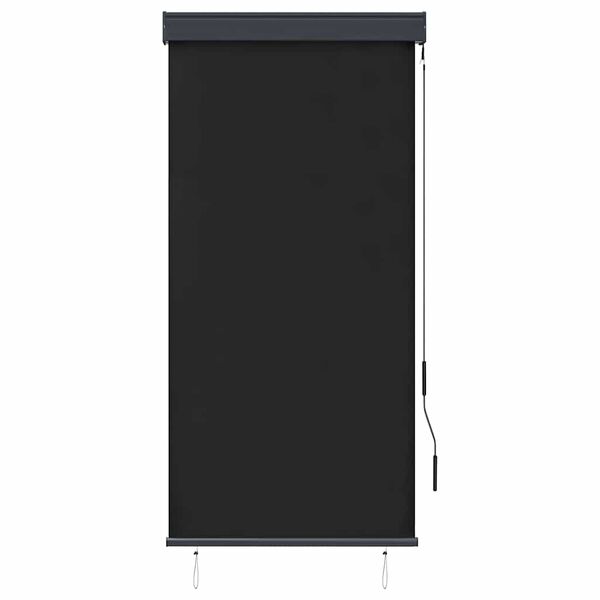 vidaXL Tenda a Rullo per Esterni 80x250 cm Antracite