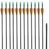 vidaXL Frecce Standard per Archi Ricurvi 12 pz 76,2/0,6 cm Fibra Vetro