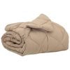 vidaXL Piumone Completo Annuale 135 x 200 cm 300 gsm Talpa