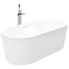 vidaXL Vasca da Bagno Indipendente con Rubinetto 204 L 110 cm Argento