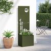 vidaXL Schermo per privacy in giardino Oliver verde 50 x 140 cm