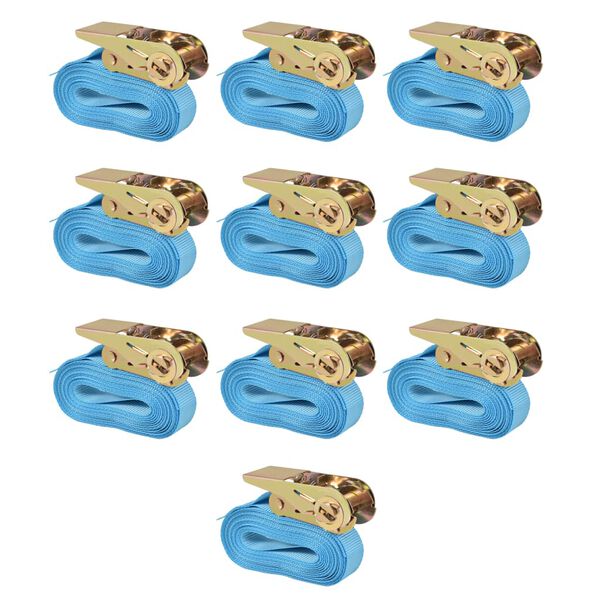 vidaXL Cinghie d’Ancoraggio 10 pz a Cricchetto 0,8 T 4mx25mm Blu