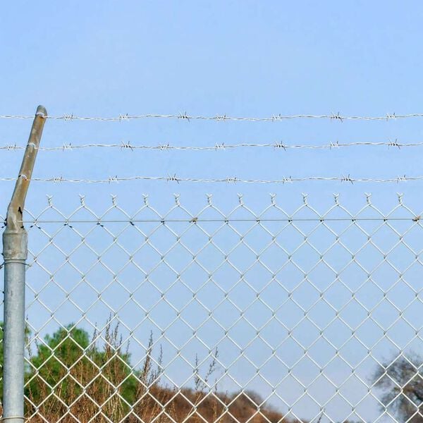 Filo spinato galvanizzato per recinzioni metalliche, recinti