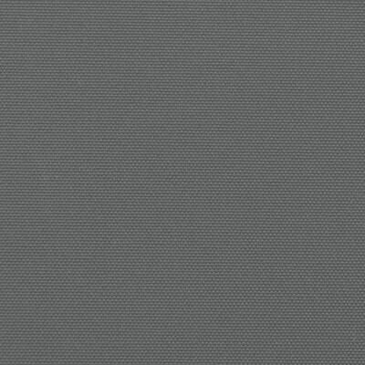 vidaXL Tenda da Sole Laterale Retrattile Antracite 220x600 cm