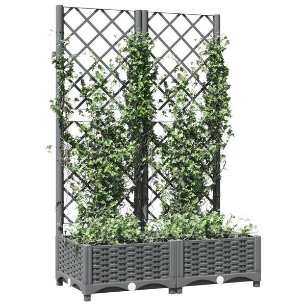vidaXL Fioriera da Giardino e Graticcio Grigio Chiaro 80x40x121,5cm PP