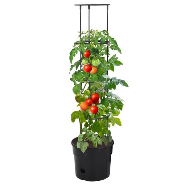 vidaXL Vaso a Torre per Pomodori Antracite Ø29,5x115 cm Polipropilene