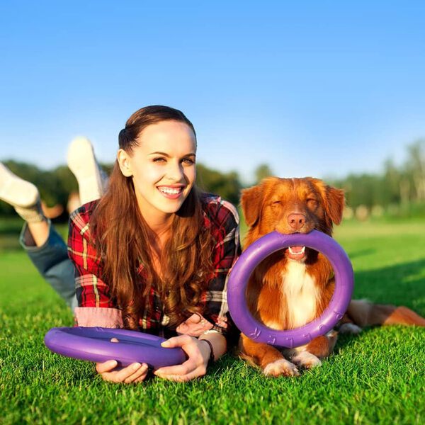 Ferplast Anelli per Cani Puller Standard Viola 2 pz