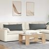 vidaXL Cuscini da Divano 2 pcs Grigio scuro 120 x 40 cm Tessuto
