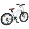 vidaXL Kids Mountain Bike 20 Pollici 6-Speed per 5-8 anni Bianco