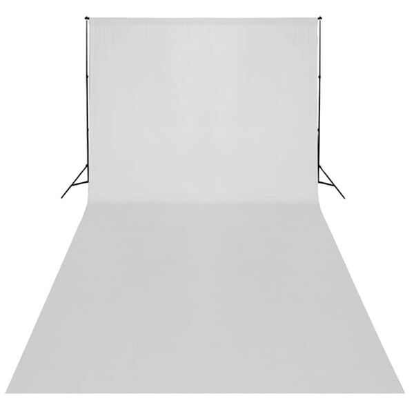 vidaXL Kit per Studio Fotografico con Set di Luci e Fondale