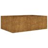 vidaXL Fioriera Rialzata da Giardino 120x80x40 cm in Acciaio Corten