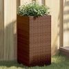 vidaXL Fioriere da Giardino 2 pz Marrone 30x30x60 cm in Polyrattan