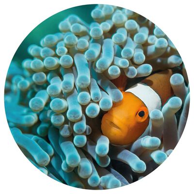 WallArt Carta da Parati Circolare Nemo the Anemonefish 190 cm