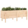 vidaXL Fioriera Rialzata da Giardino 160x50x57 cm Legno Massello Pino