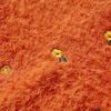 Immagine miniatura del prodotto 4 di 7