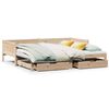 vidaXL Divano Letto Estraibile con Cassetti senza Materasso 90x190 cm
