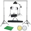 vidaXL Kit Studio Fotografico con Luci Softbox Fondale e Riflettore