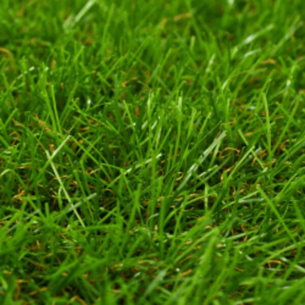vidaXL Erba Artificiale 1x15 m/40 mm Verde