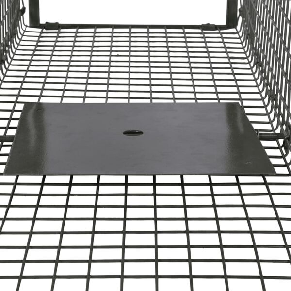 vidaXL Trappola per Animali Vivi con 2 Porte