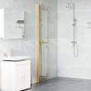vidaXL Parete doccia Walk-in Oro e trasparente 80 x 190 cm