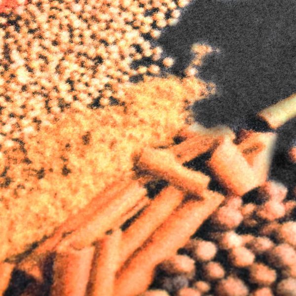 vidaXL Tappetino da Cucina Lavabile Spezie 60x300 cm