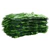 vidaXL Paravento da Balcone con Foglie Verdi 300x100 cm