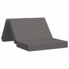 vidaXL Divano Letto Pieghevole 100 x 67 x 45 cm Grigio Chiaro