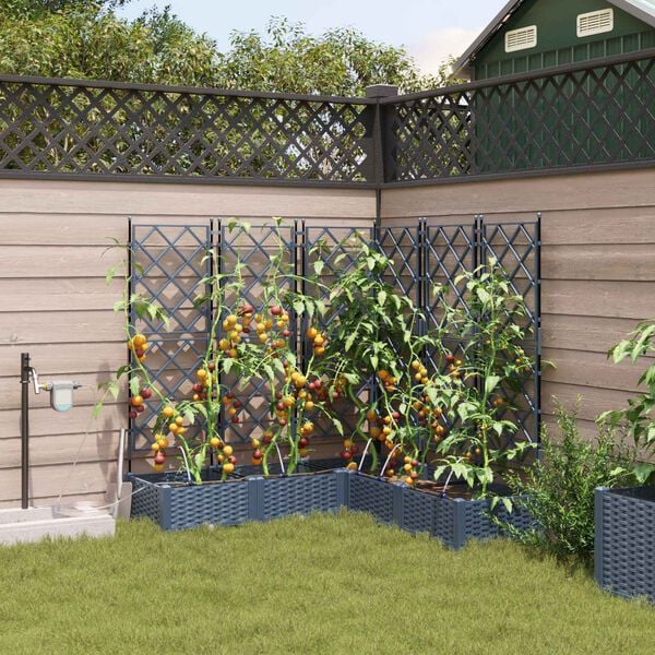 Visualizzazione immagine prodotto 2 di 8