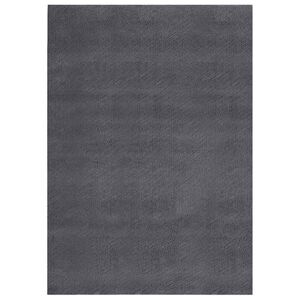 vidaXL Tappeto Soffice Pelo Corto 160x230 cm Antiscivolo Antracite