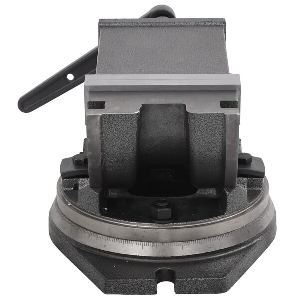 vidaXL Morsa Inclinabile a 2 Assi 160 mm