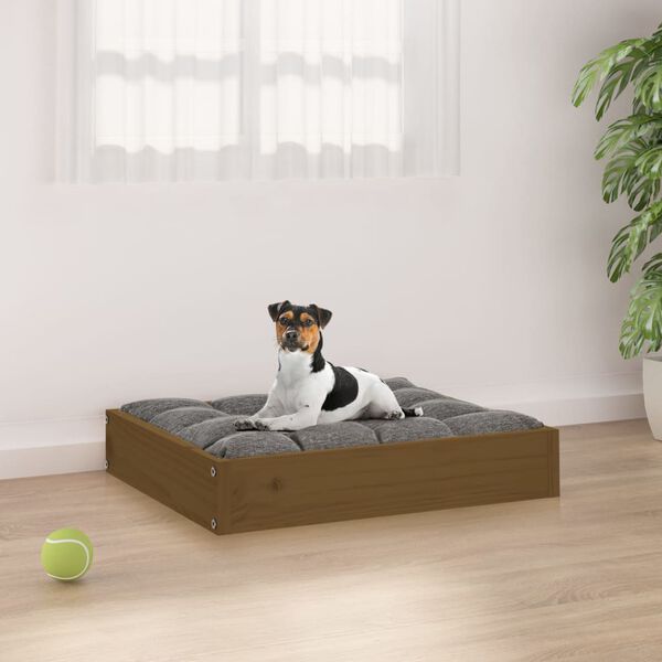 vidaXL Cuccia per Cani Ambrata 51,5x44x9 cm in Legno Massello di Pino