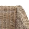 vidaXL Set di Divani 2 pz con Cuscini in Rattan Naturale
