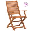 vidaXL Sedie da Giardino Pieghevoli con Braccioli 2pz Massello Acacia