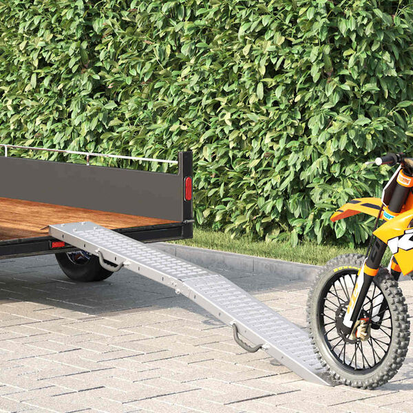 vidaXL Rampe Pieghevoli 200kg per rampa Argento 186 x 23 x 4,5 cm