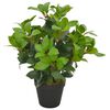 vidaXL Albero di Alloro Artificiale con Vaso Verde 40 cm