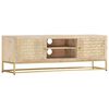 vidaXL Mobile Porta TV Oro 120x30x40 cm in Legno Massello di Mango