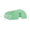 vidaXL Serra con Telaio in Acciaio Verde 48 m&sup2; 8x6x2,85 m